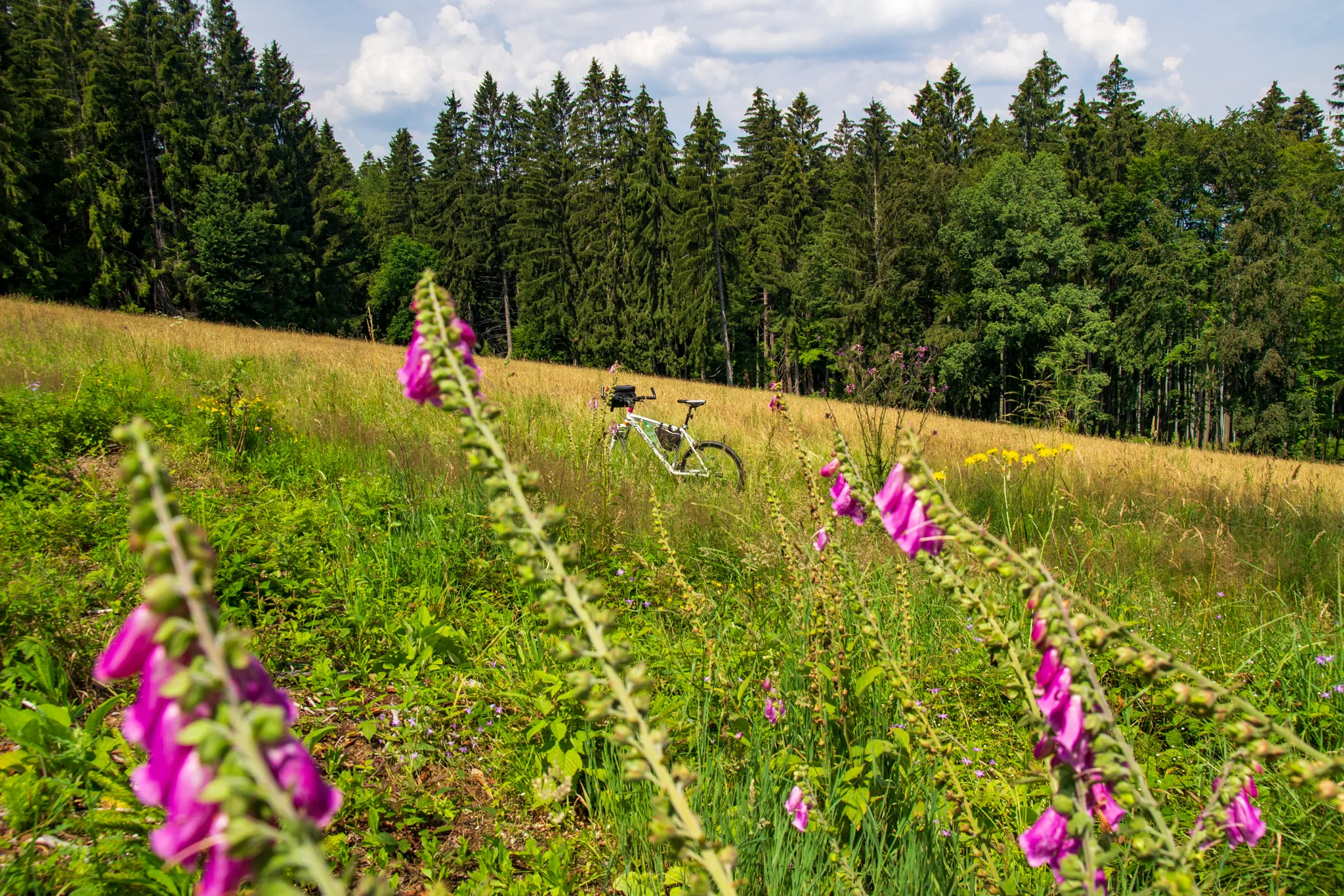 Na kole motýlími lukami