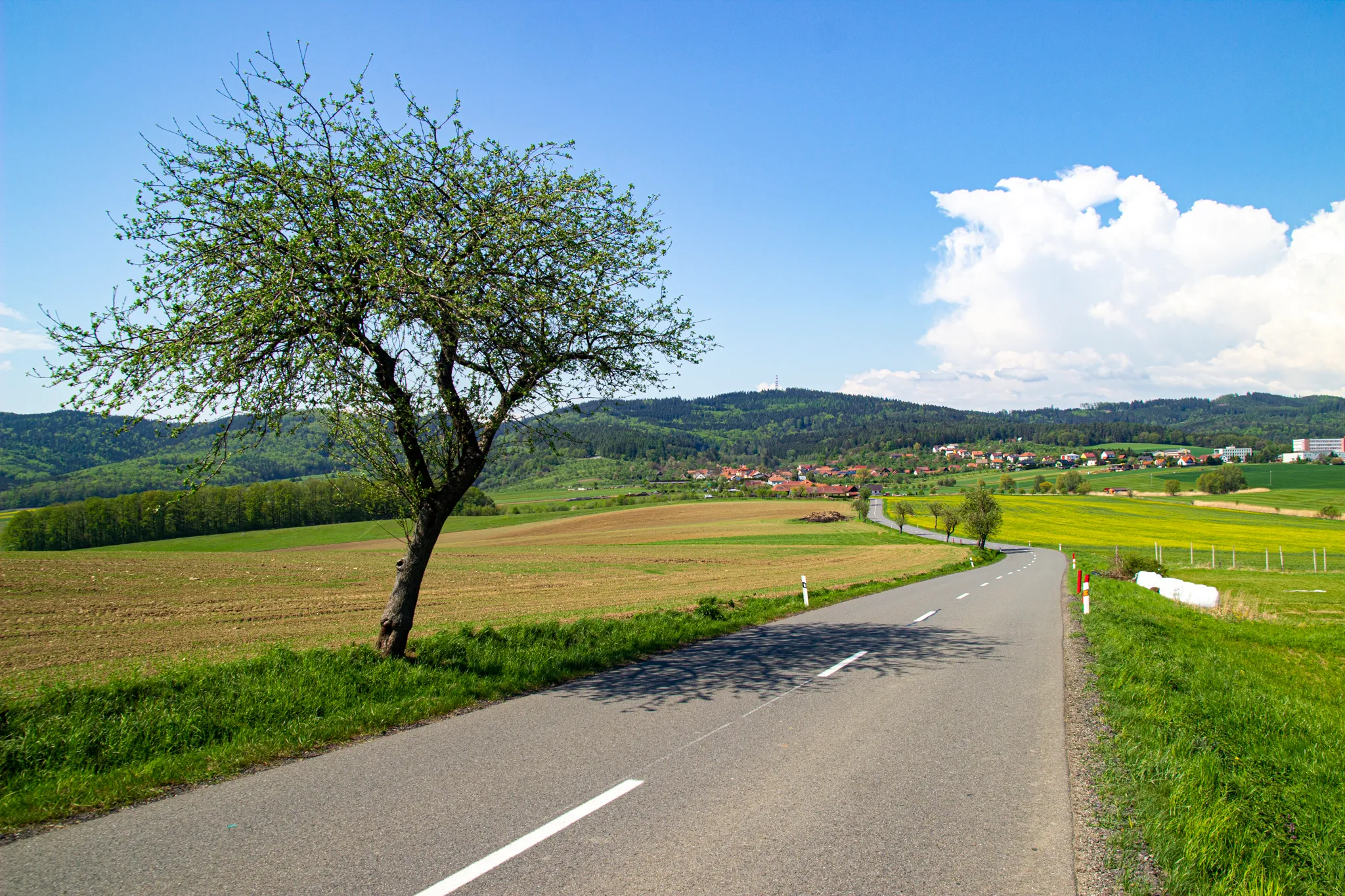 Na kole přes Slavičín a Loučku