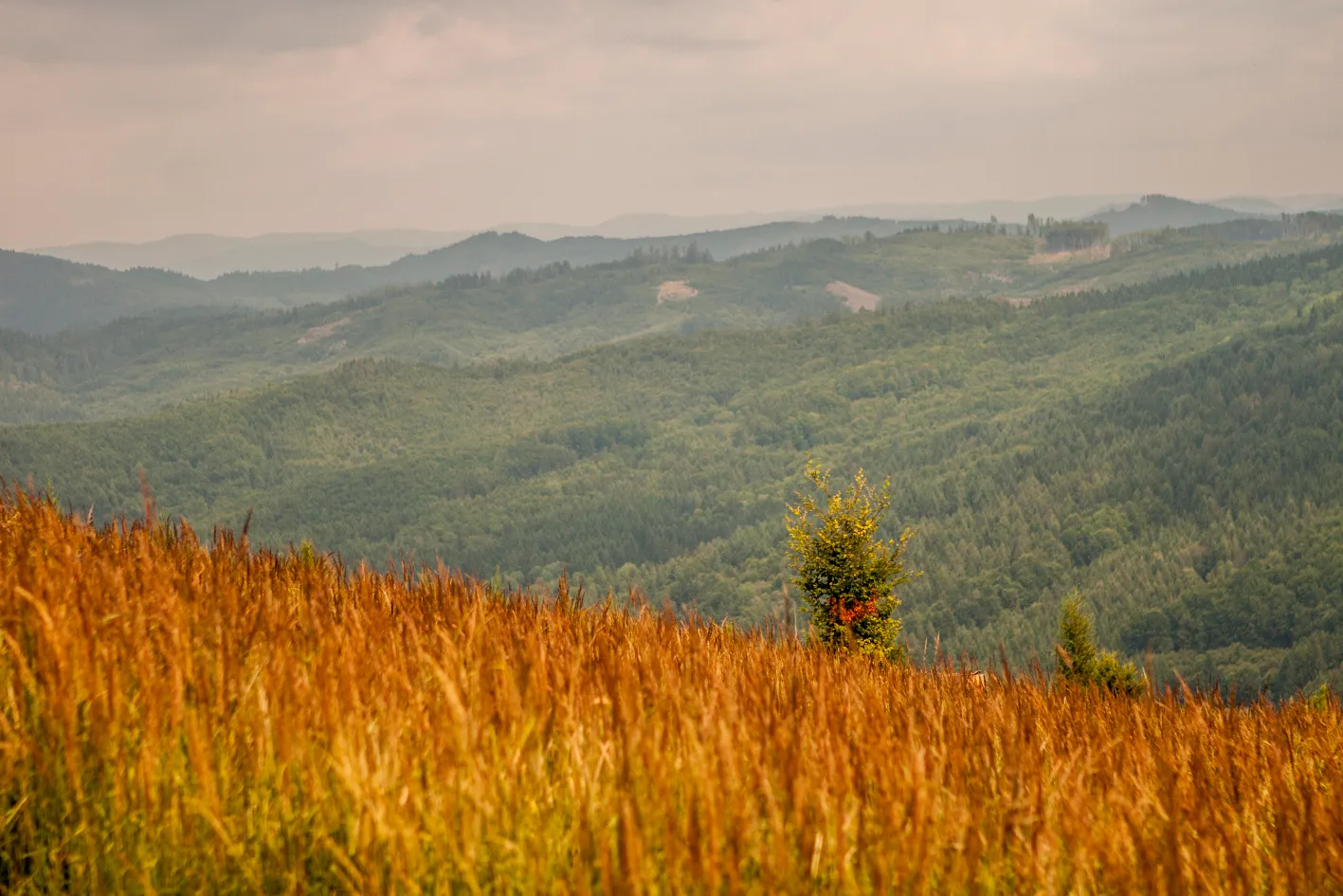 Závrší s romantikou mezi jalovci