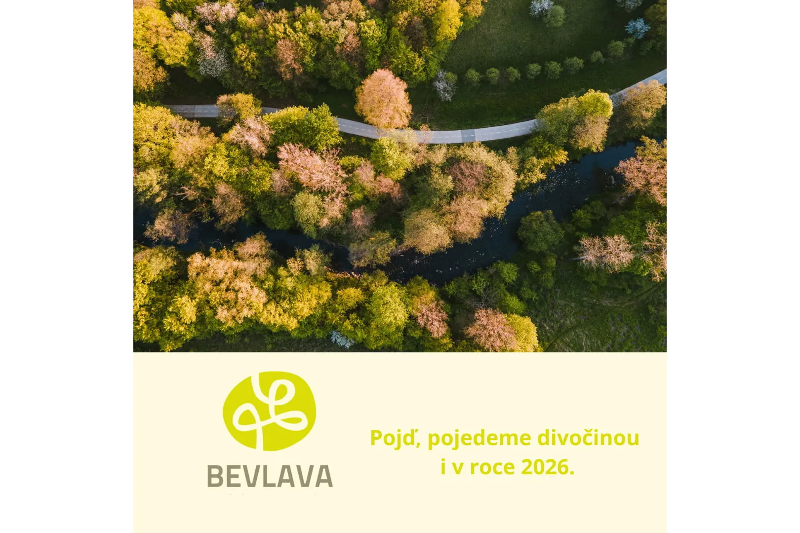 PF 2026