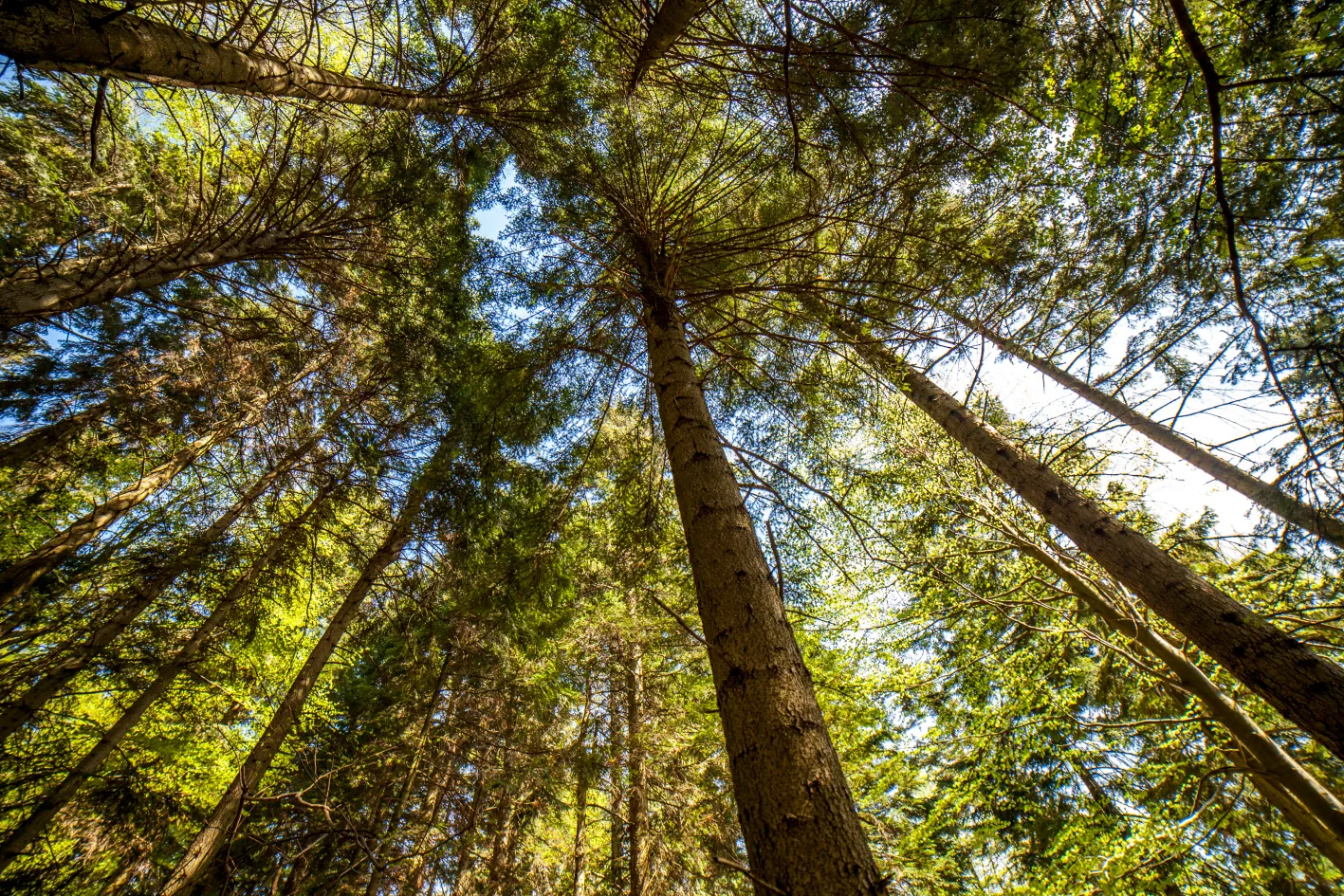 Hřebenem Královce za krásami UNESCO