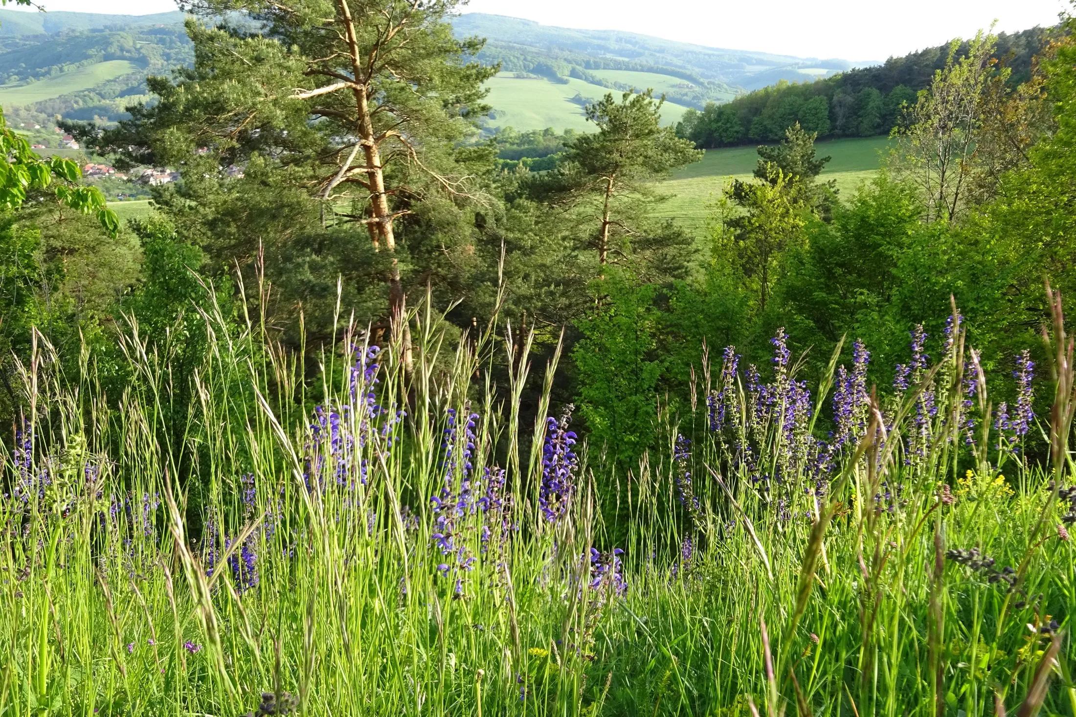 Hložeckým masivem po stopách Tatarů a Kuruců
