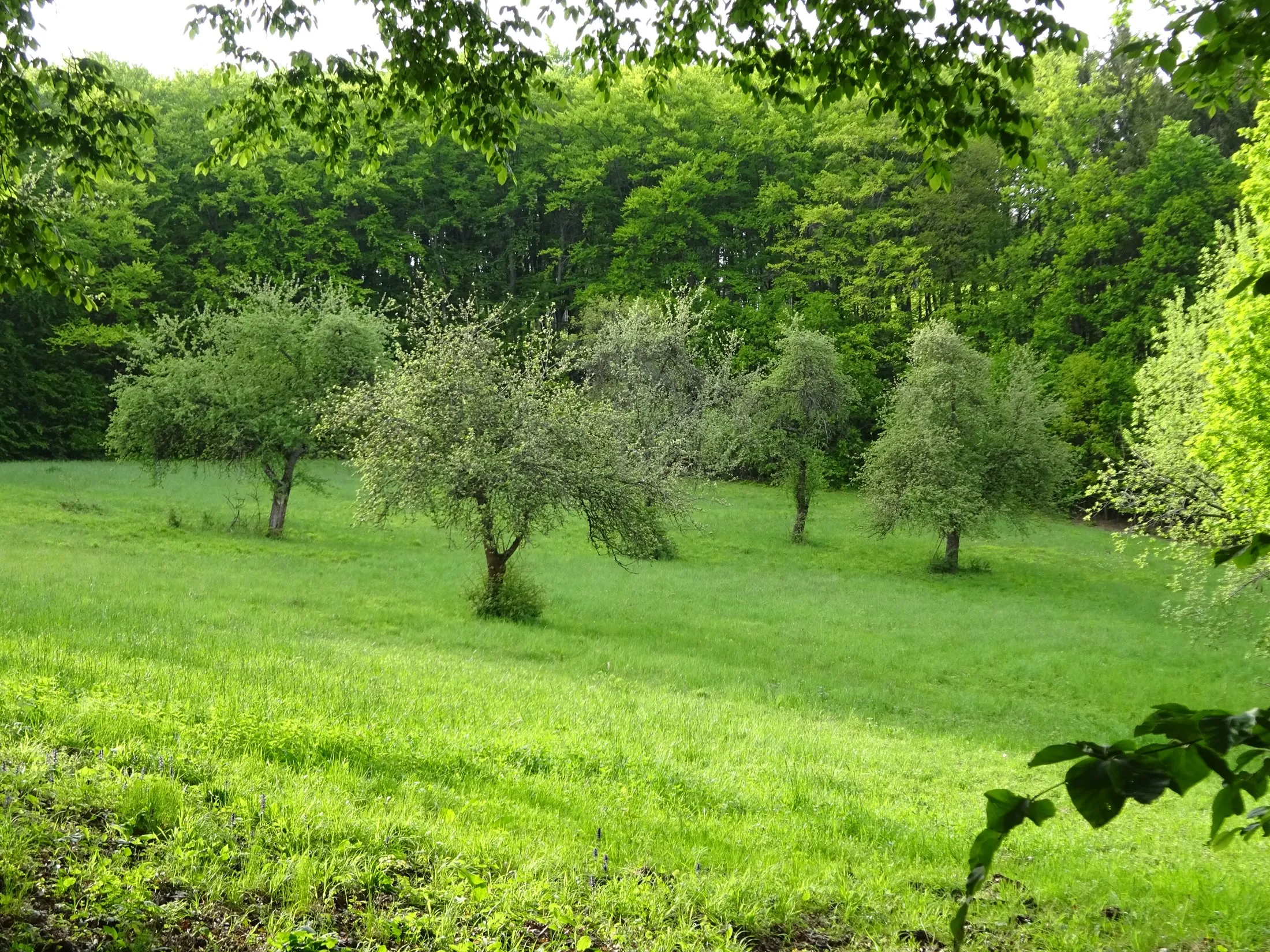 Hložeckým masivem po stopách Tatarů a Kuruců