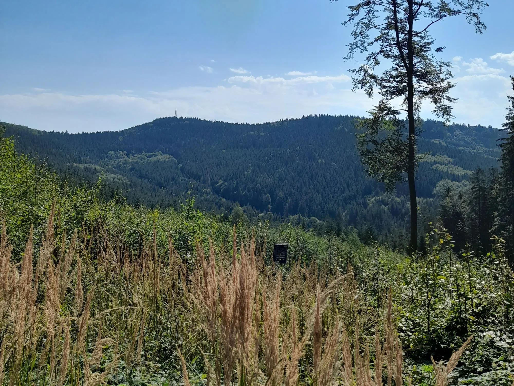 Z Ploštiny k prameni Vláry