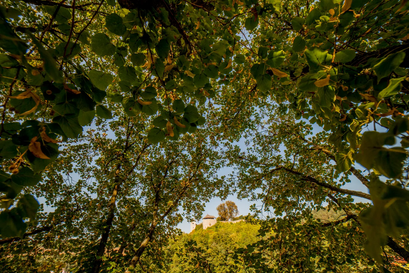 Z Brumova-Bylnice na Holý vrch