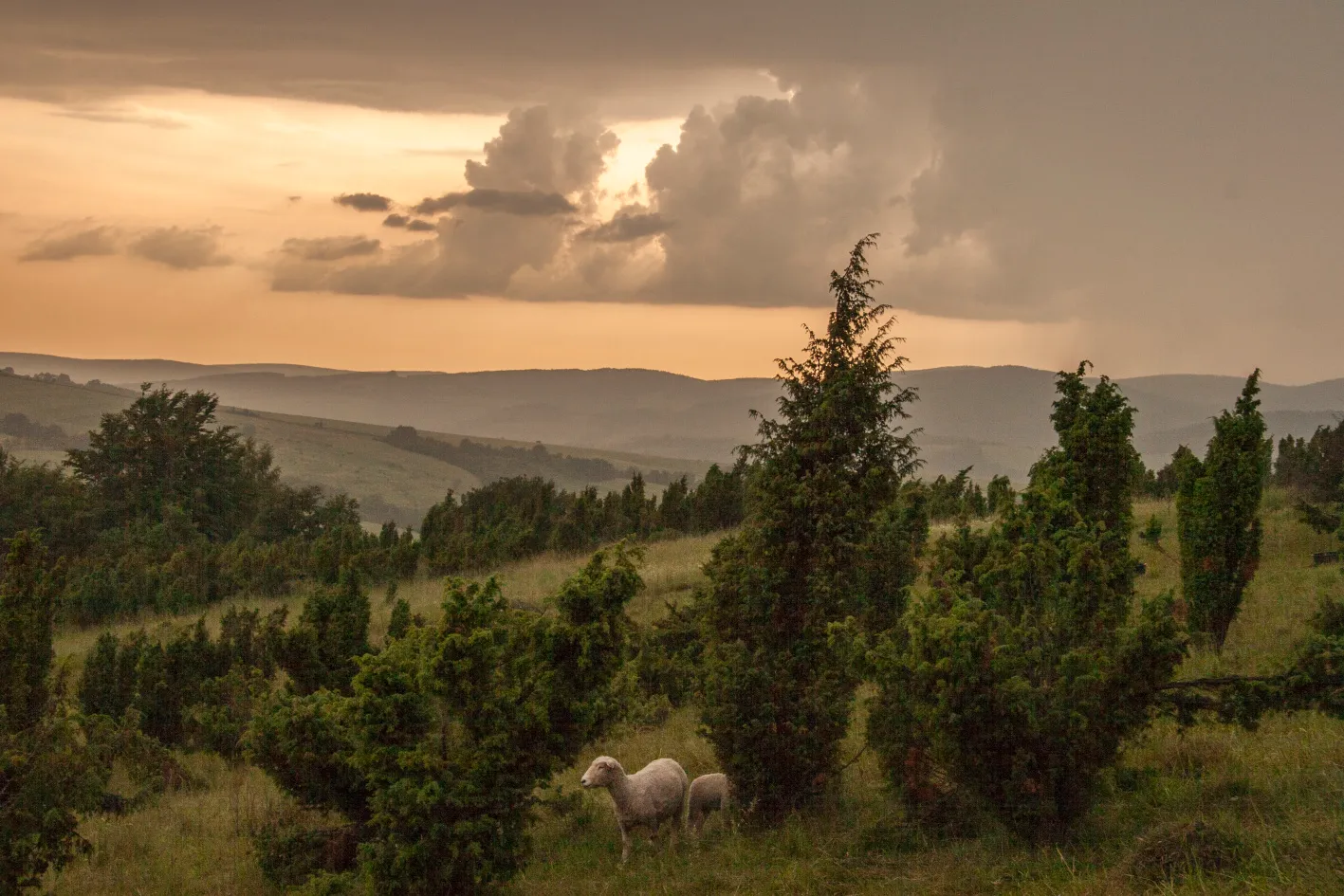 Závrší s romantikou mezi jalovci