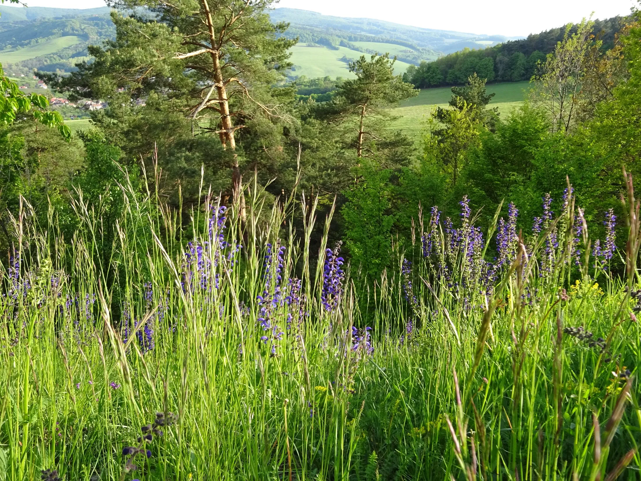 Hložeckým masivem po stopách Tatarů a Kuruců