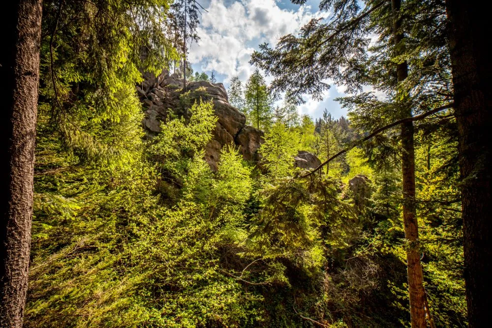 Na Lačnovské skály a Vařákovy paseky