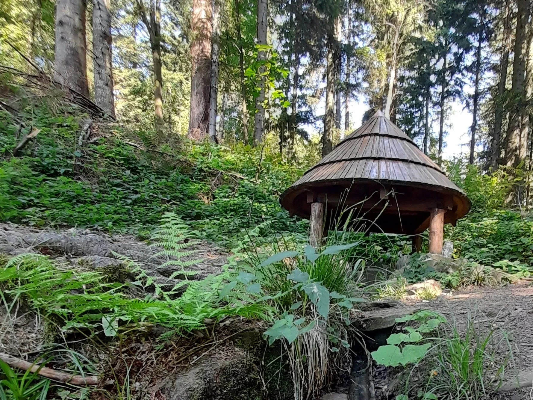 Z Ploštiny k prameni Vláry