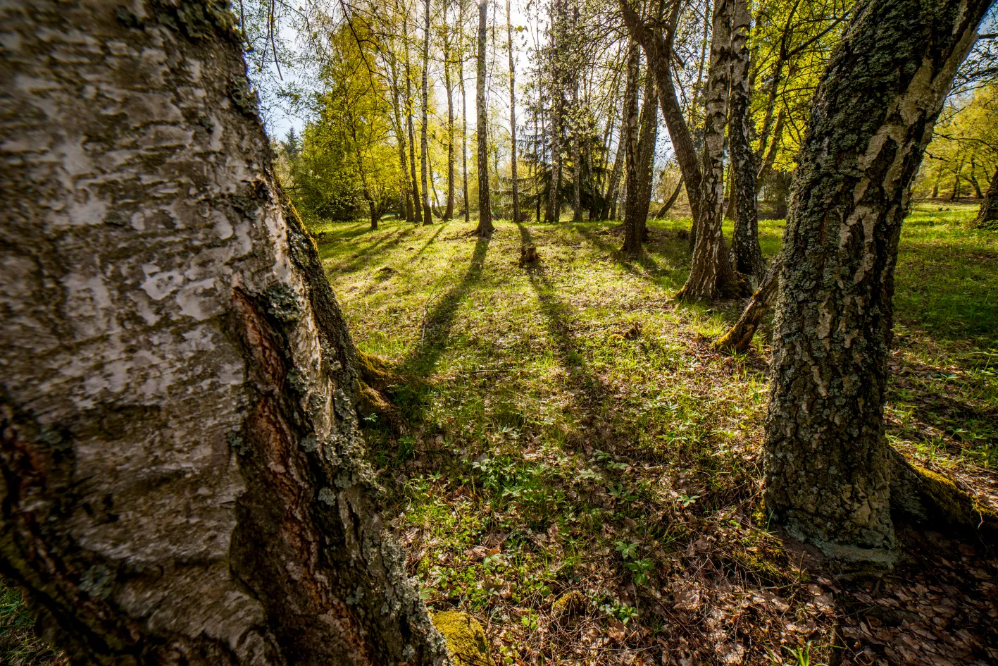 Hřebenem Královce za krásami UNESCO