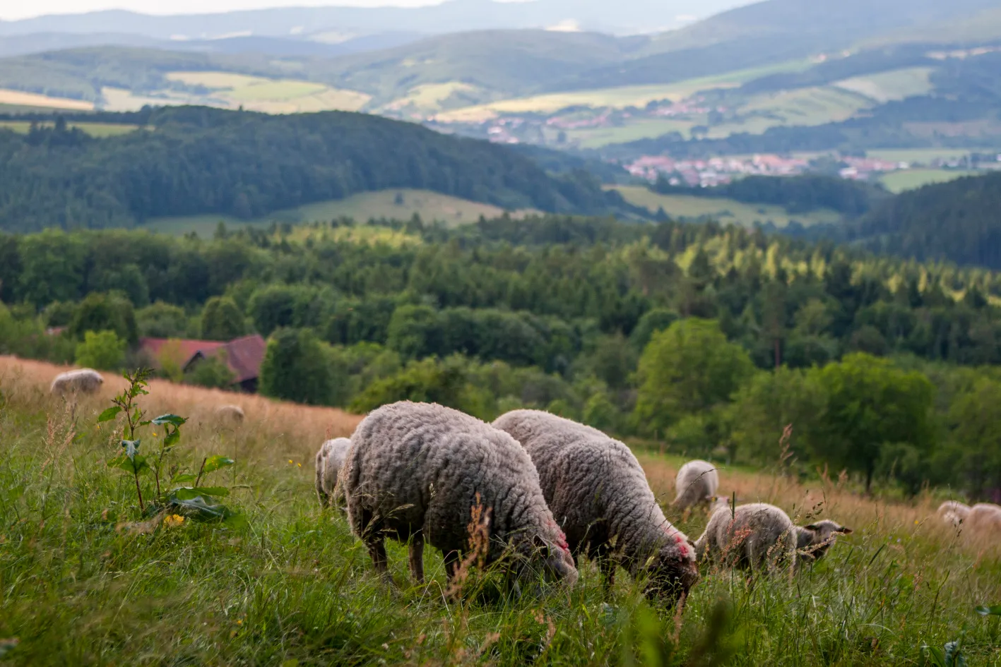 Čarovnou zemí Gabry a Málinky
