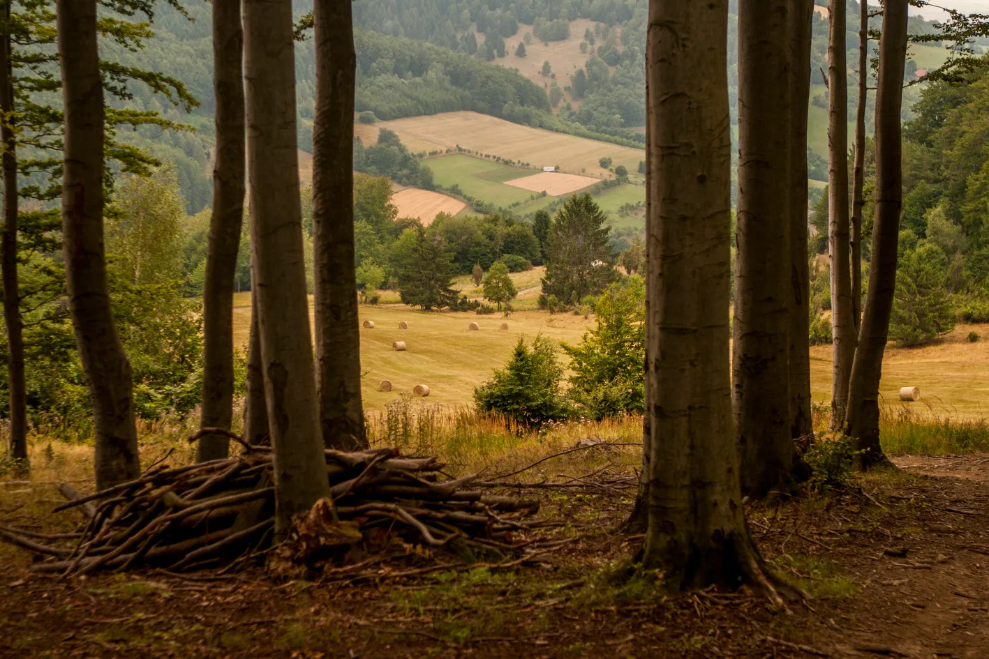 Závrší s romantikou mezi jalovci
