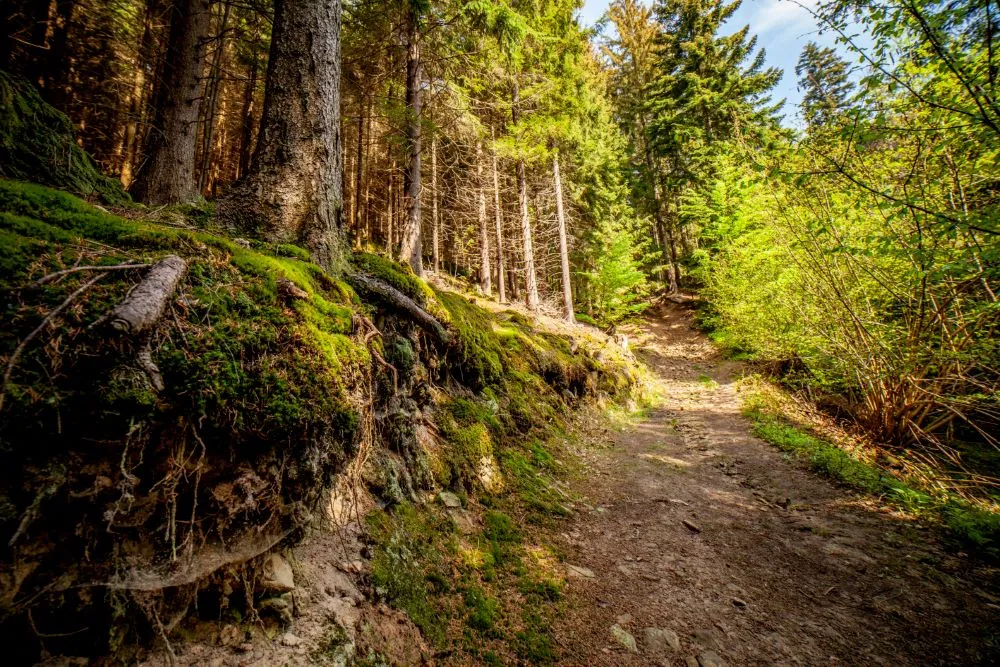 Na Lačnovské skály a Vařákovy paseky