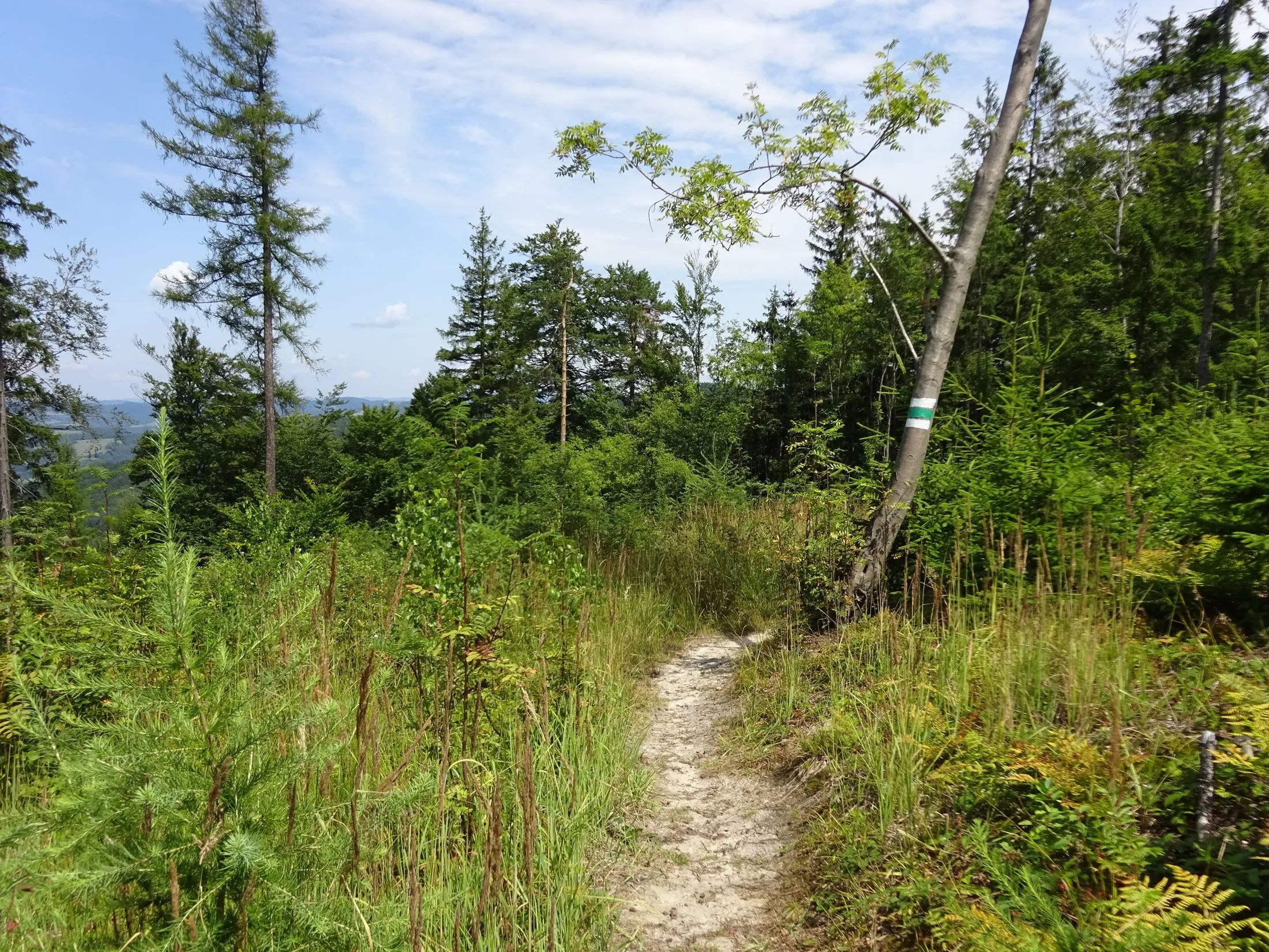 Na rozhlednu Doubrava