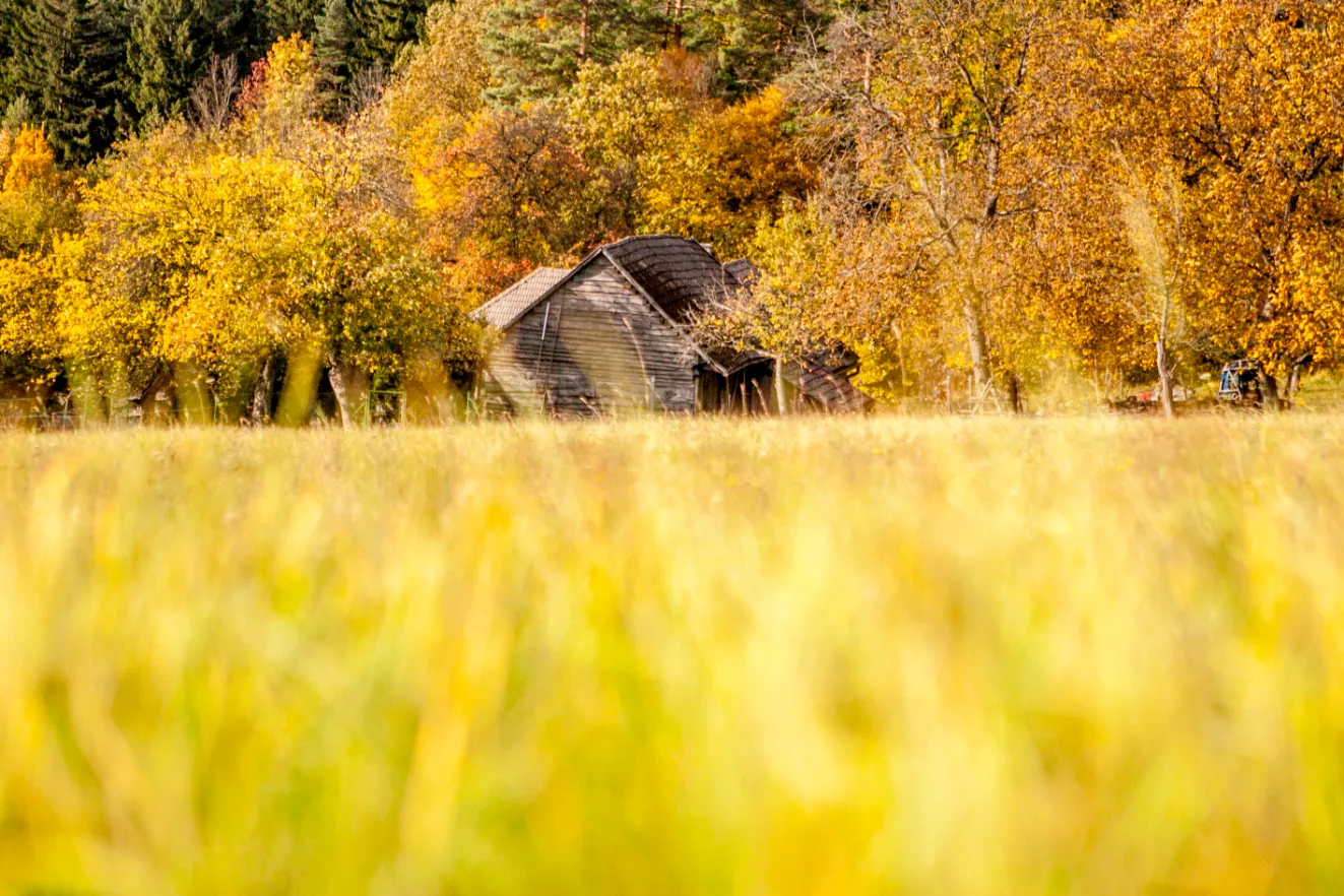 Po stopách letecké bitvy o Bílé Karpaty