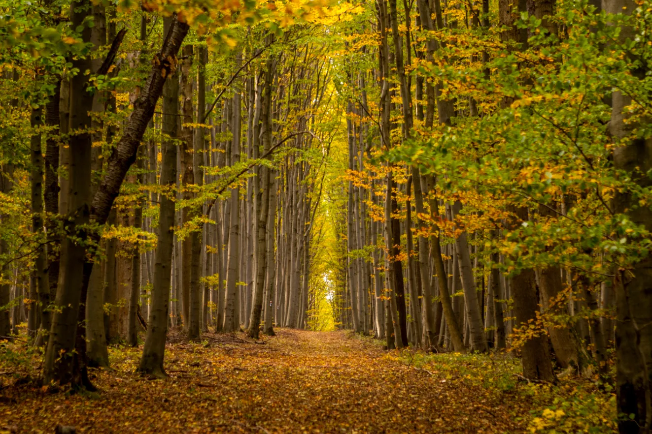 Po stopách letecké bitvy o Bílé Karpaty