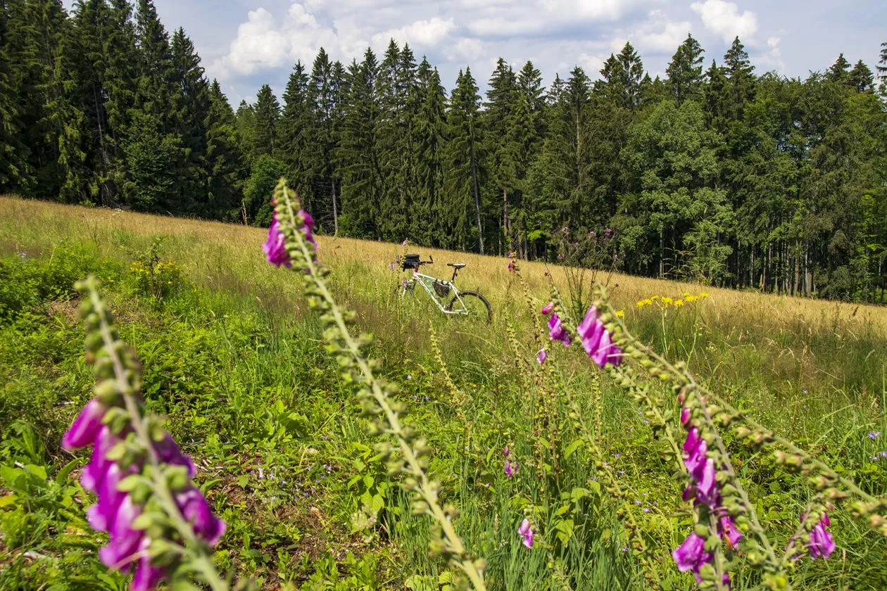 Na kole motýlími lukami