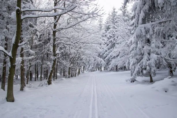 Vršatecká magistrála na běžkách