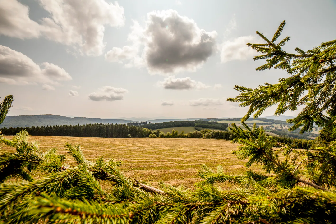 Z Brumova-Bylnice na Holý vrch