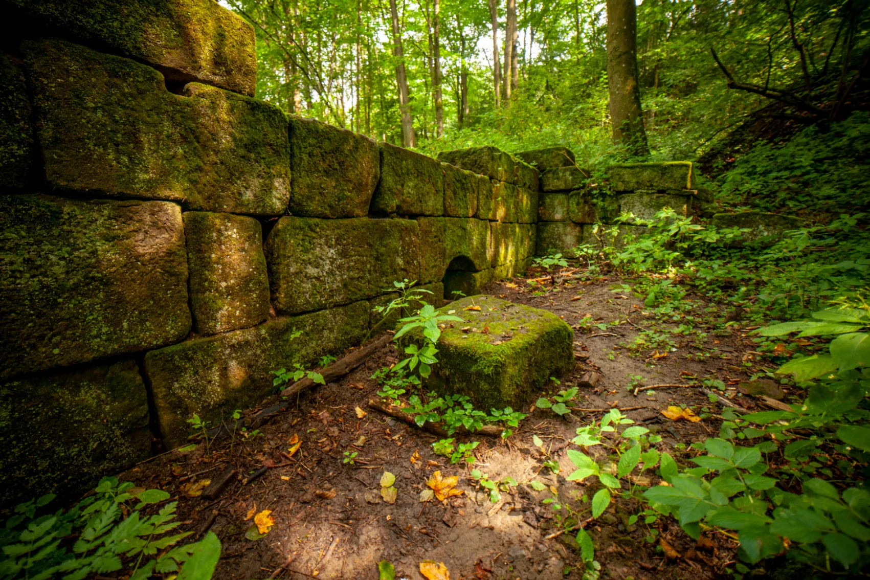 Za přírodní památkou Smolinka