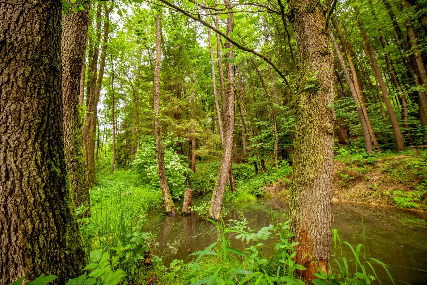 Úsek Valašské Klobouky - Brumov-Bylnice