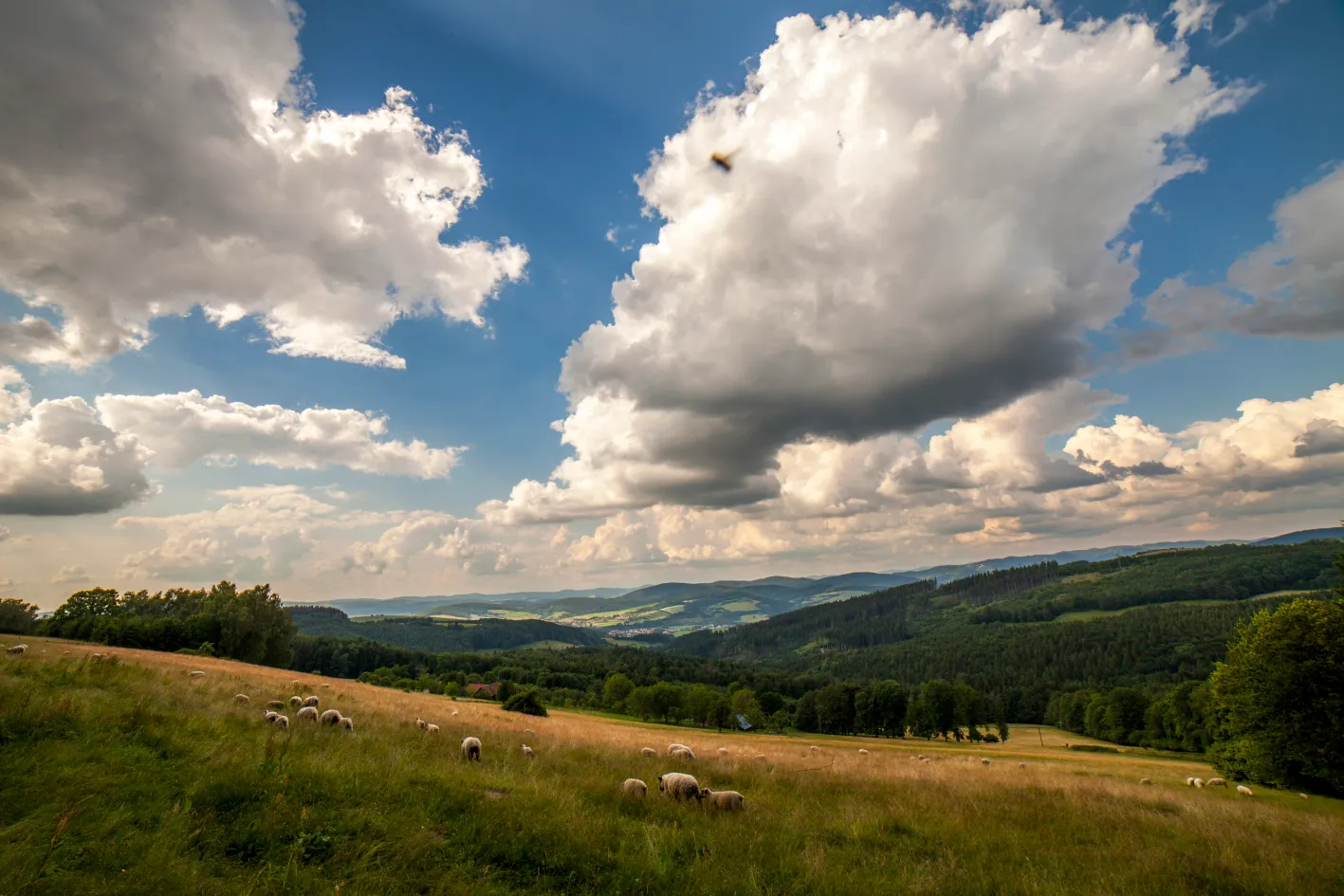 Čarovnou zemí Gabry a Málinky