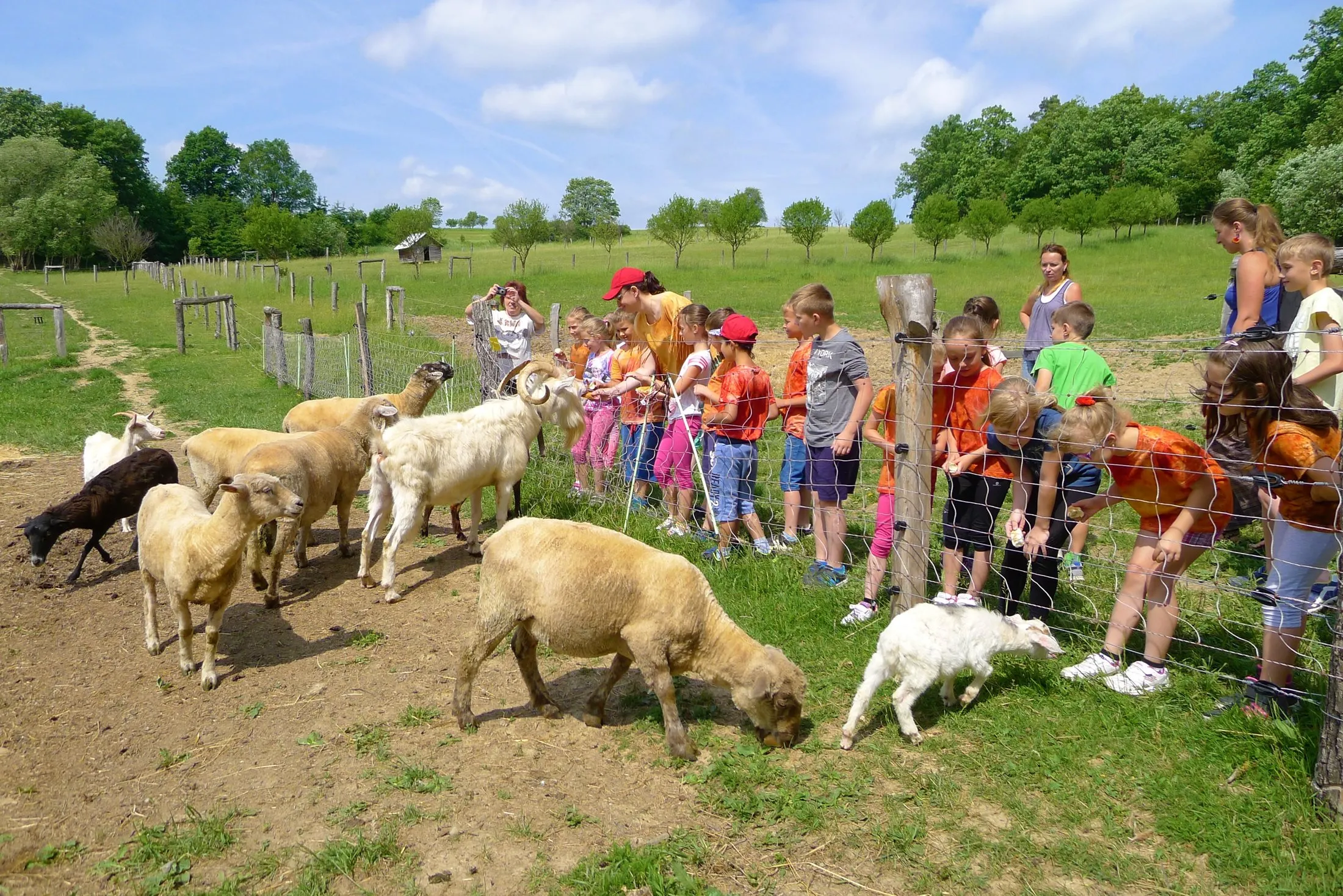 Envicentrum Pro krajinu