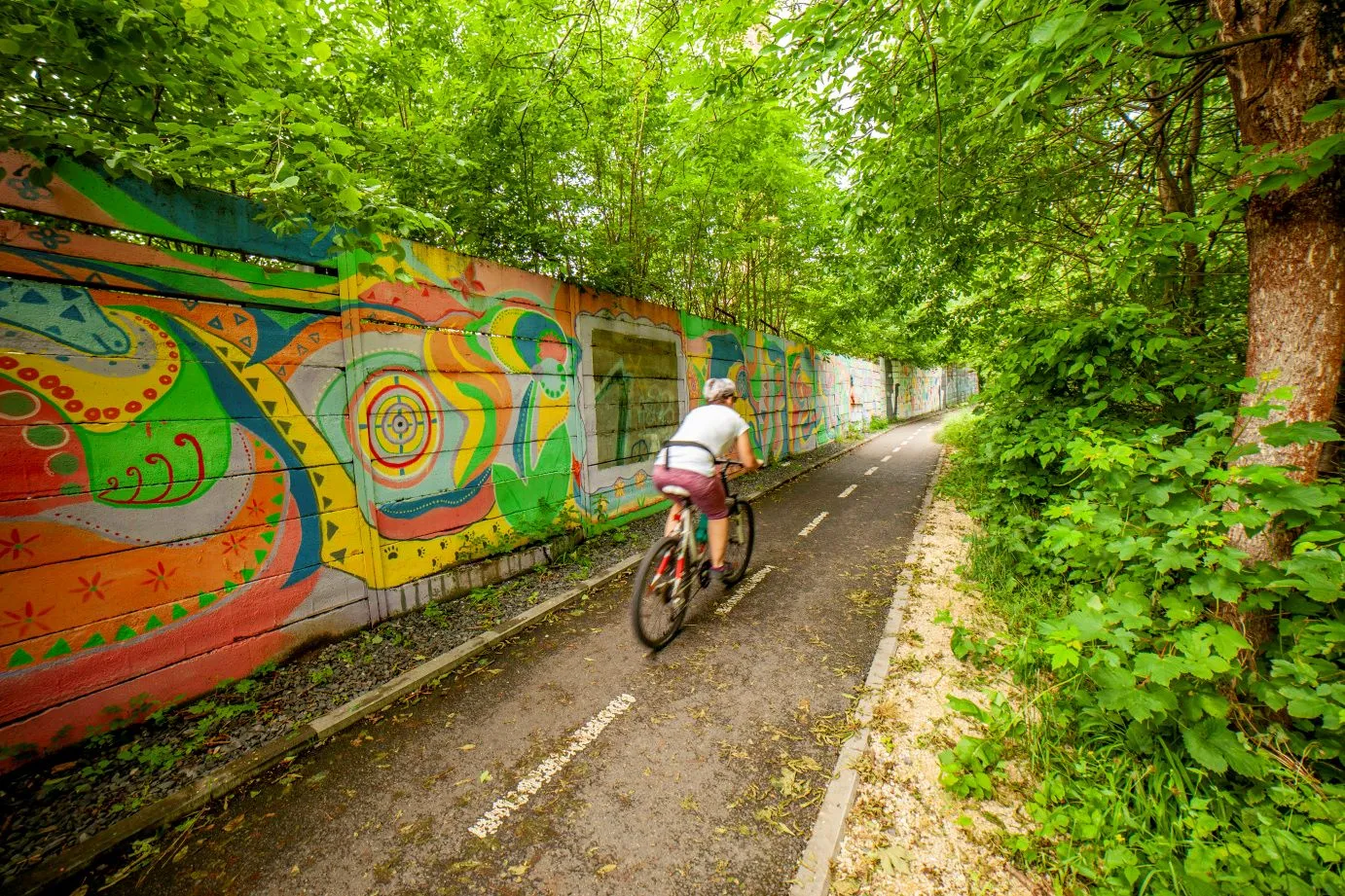 Úsek Valašské Klobouky - Brumov-Bylnice