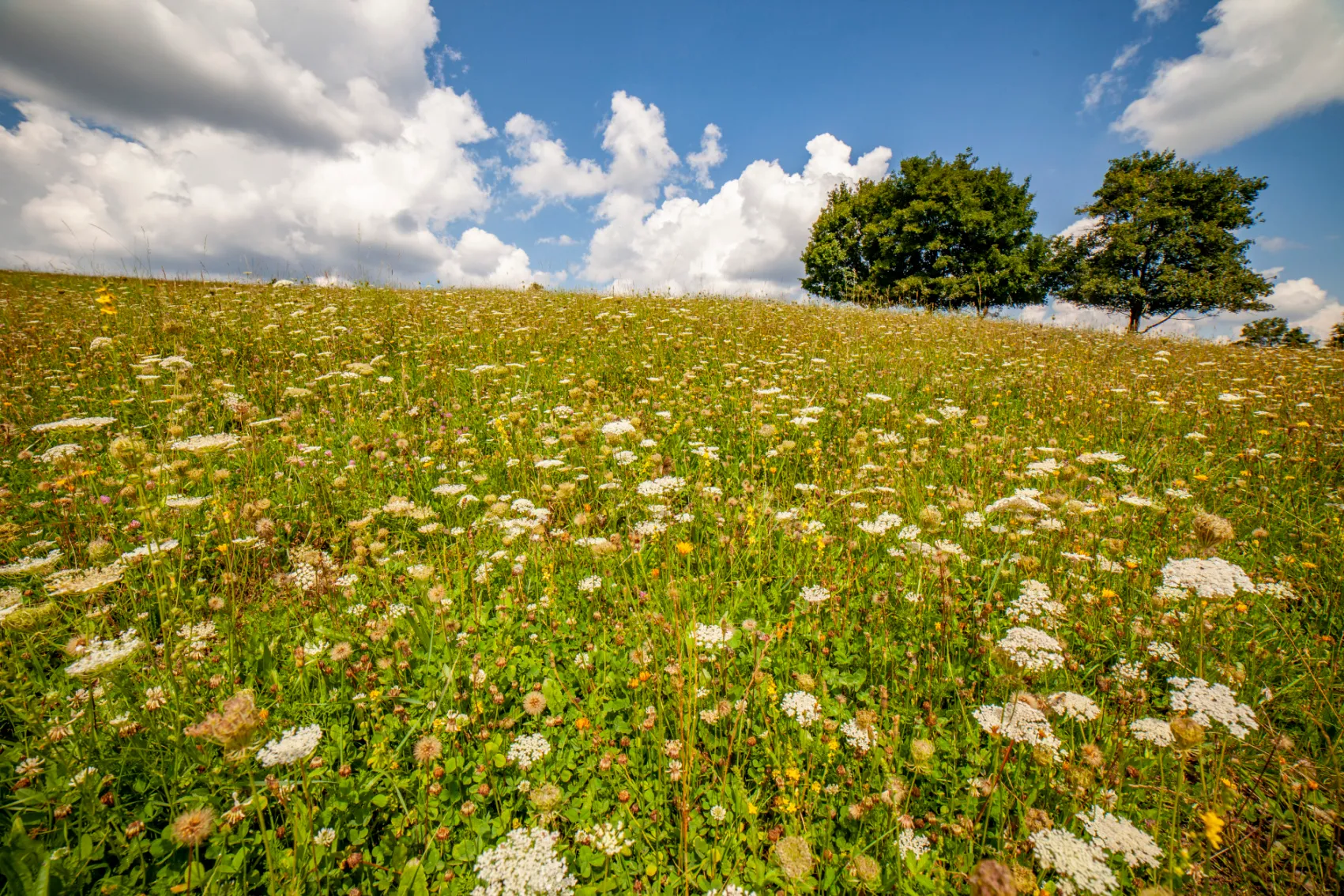 Za přírodní památkou Smolinka