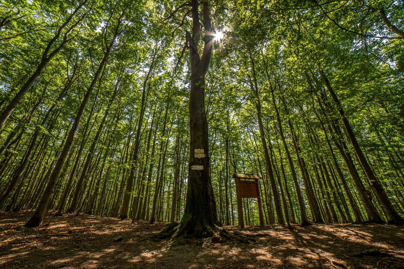 Čarovnou zemí Gabry a Málinky