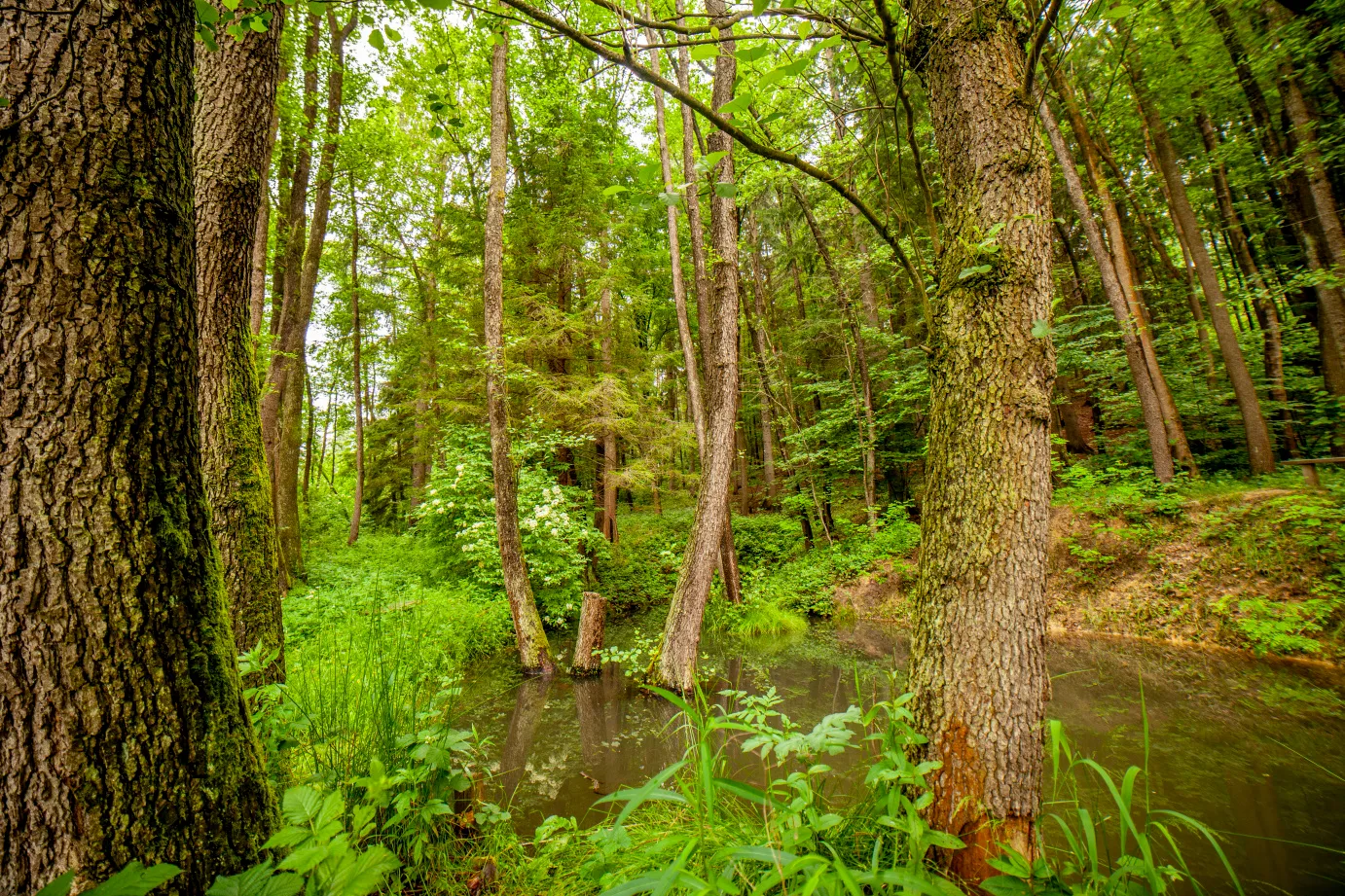 Na kole na Hrad Brumov