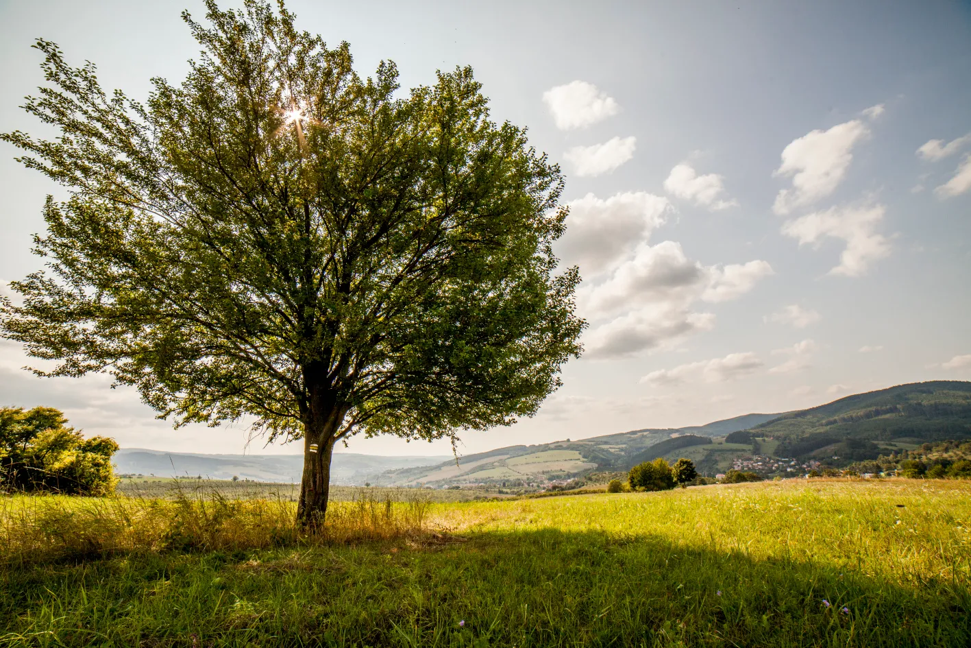 Z Brumova-Bylnice na Holý vrch