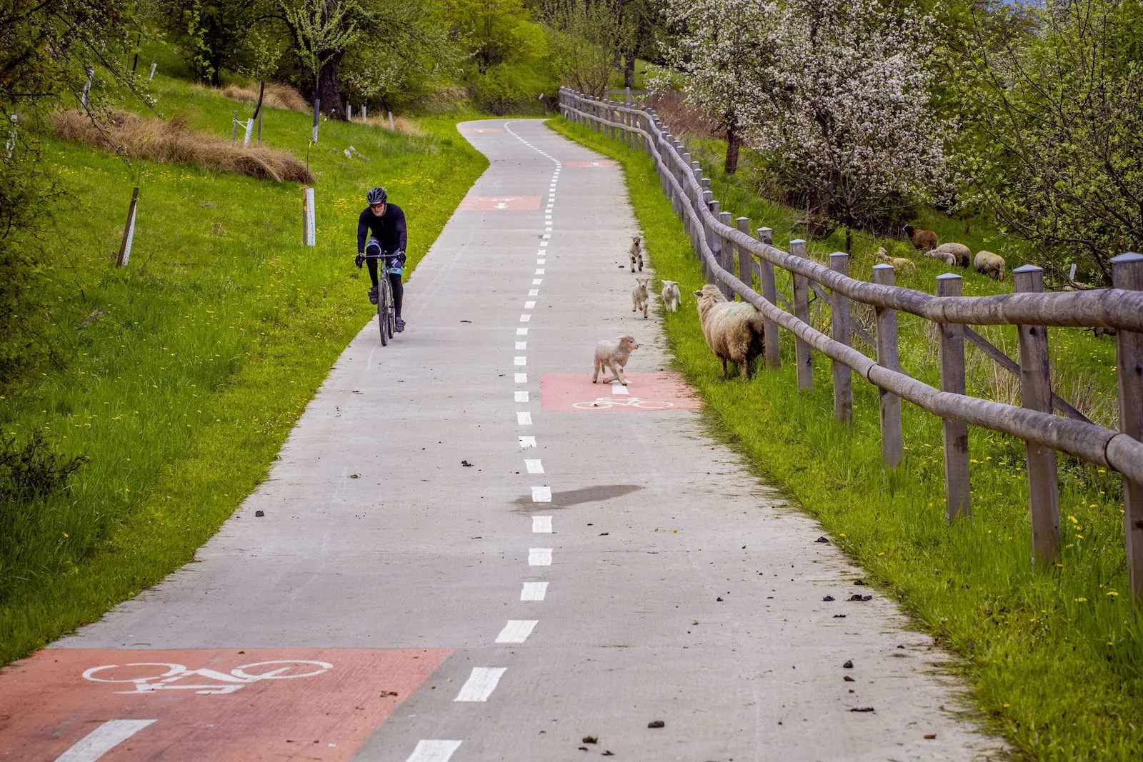 Cyklobusem na Bevlavu