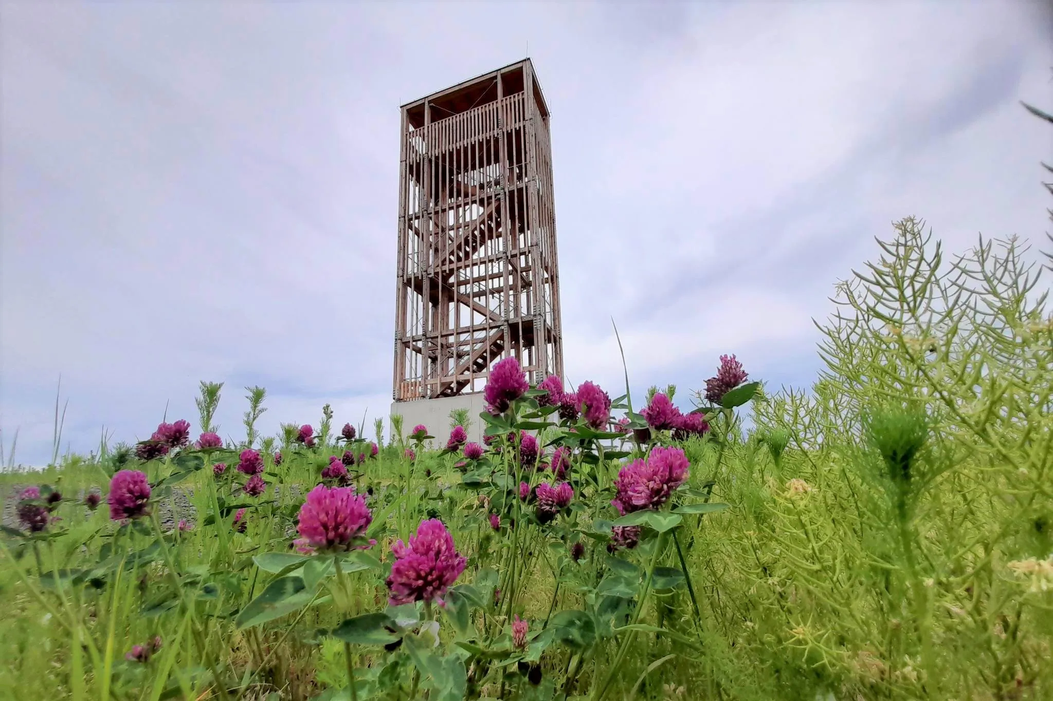 Cyklotoulka československým pomezím