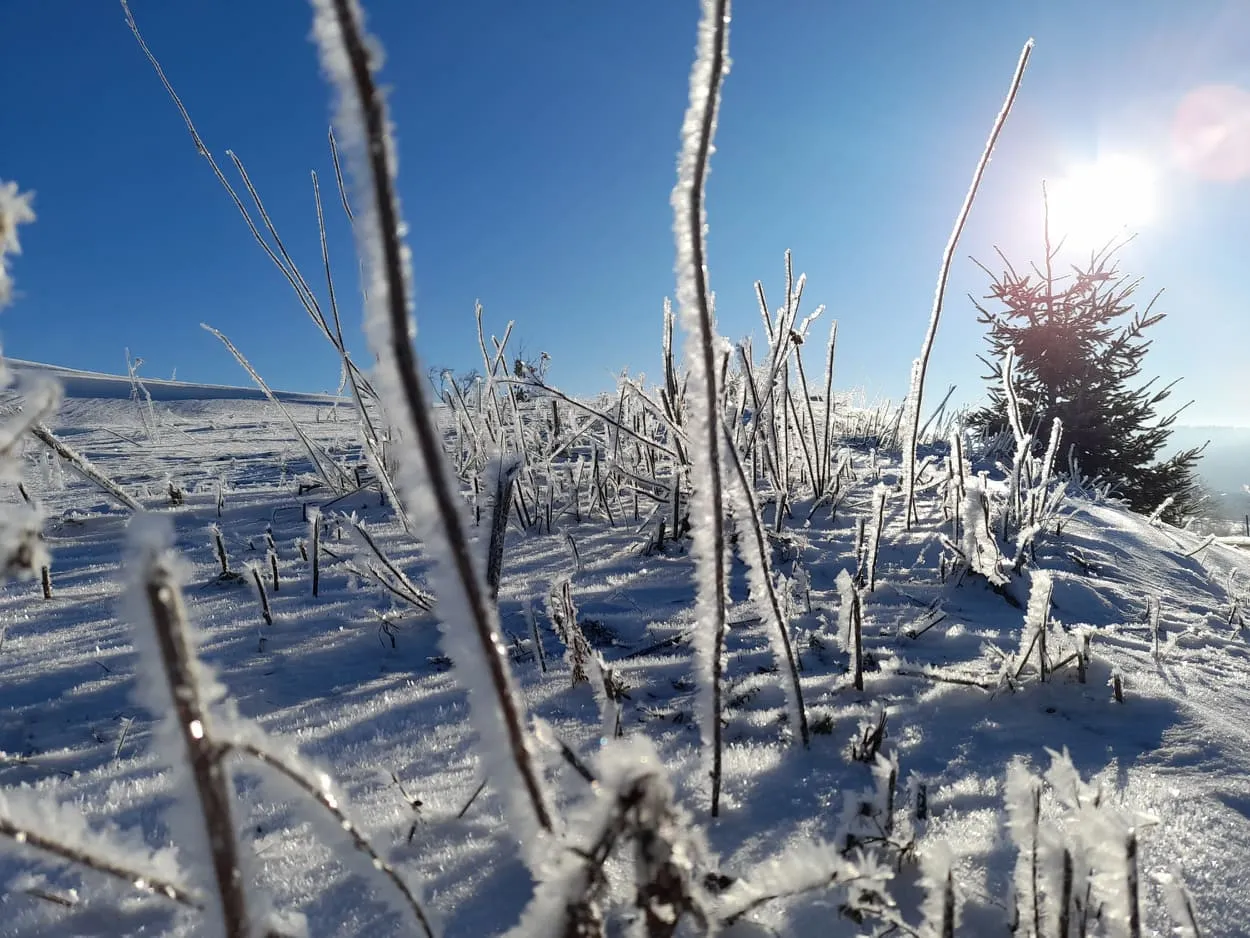 Bevlavu zasypal sníh