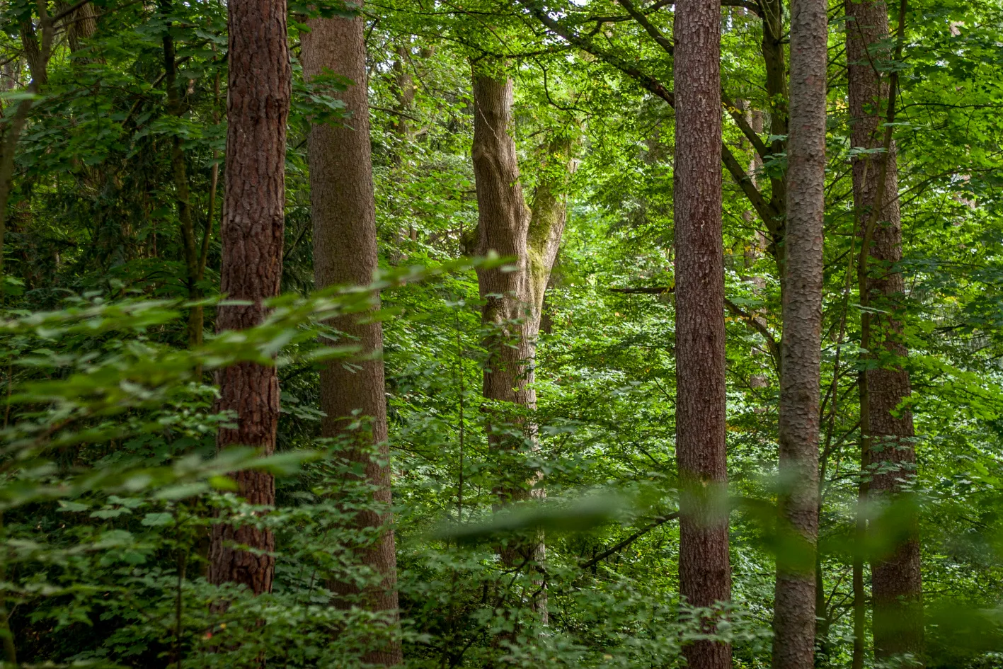Z Petrůvky do Luhačovic