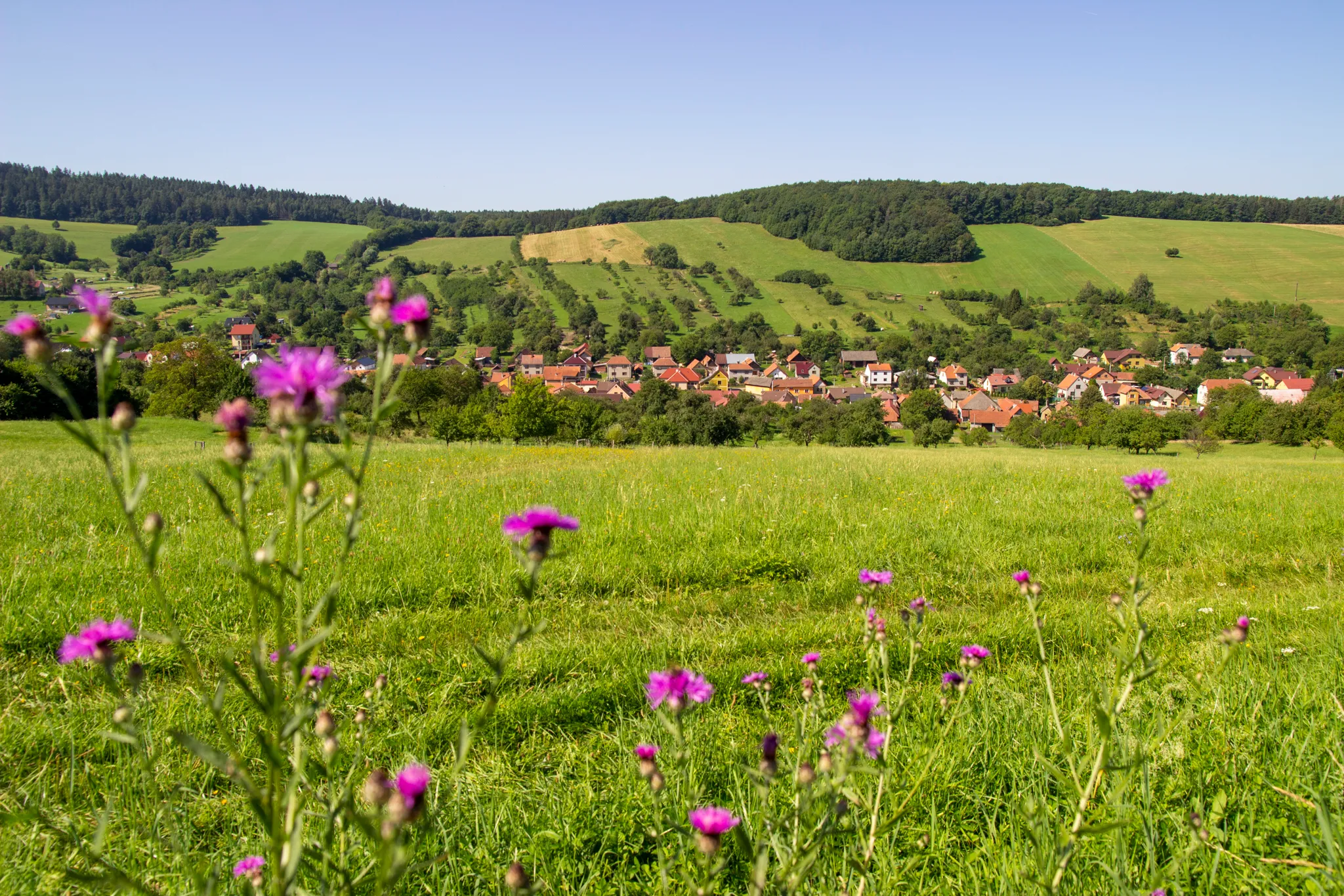 Na kole okolím Šanova