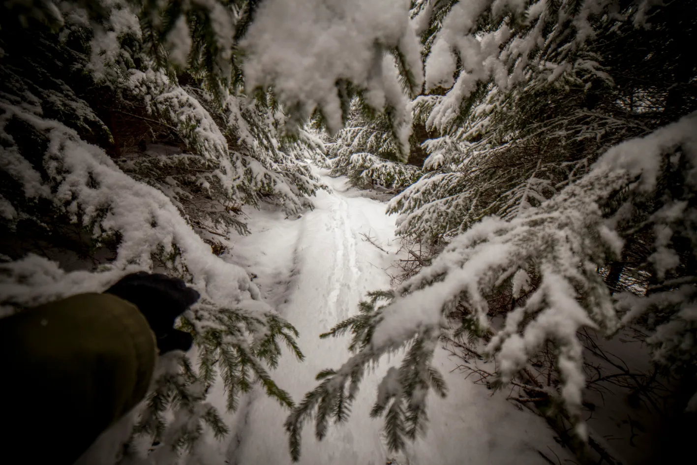 Študlovskými pasekami na vrchol Končitá