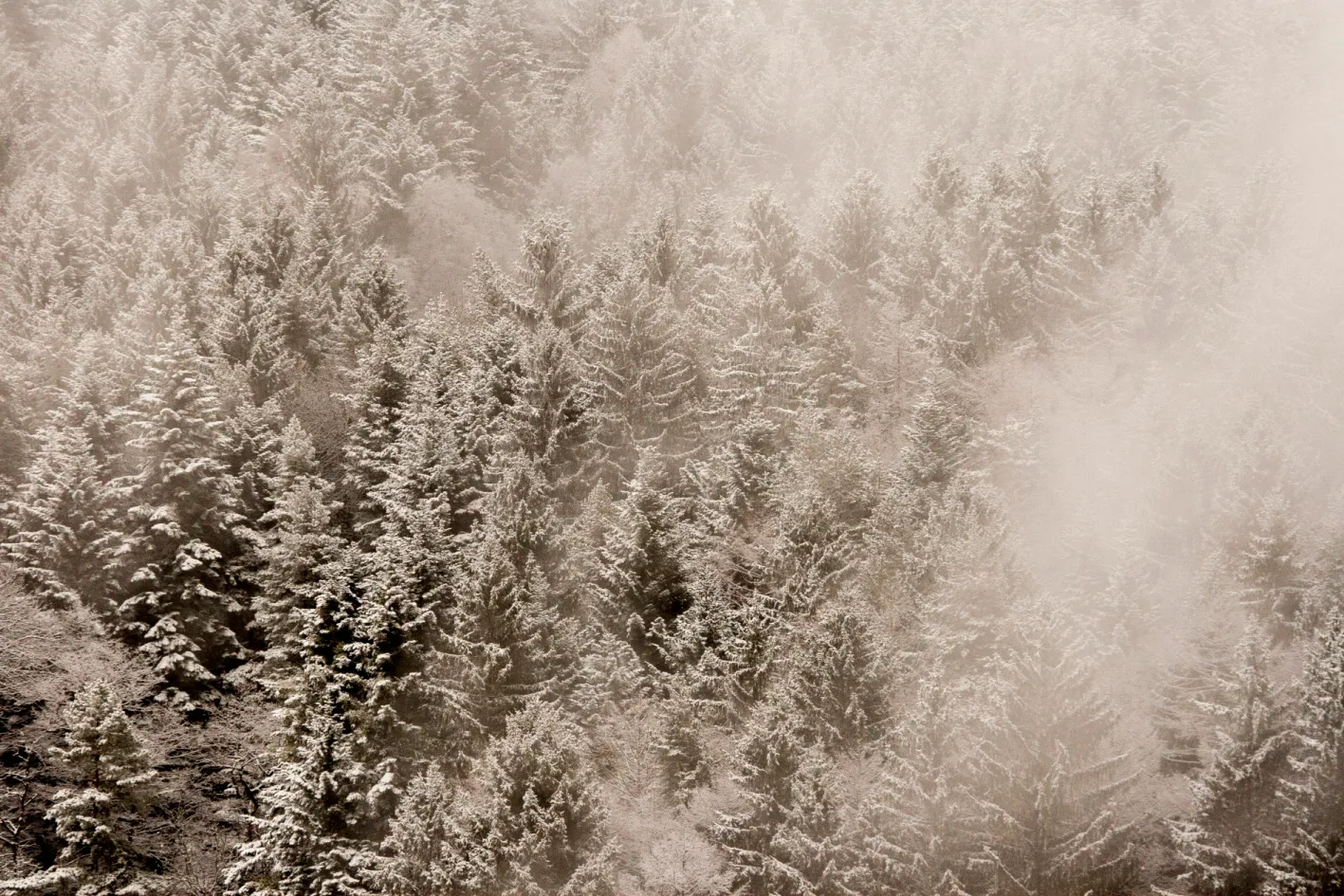 Študlovskými pasekami na vrchol Končitá