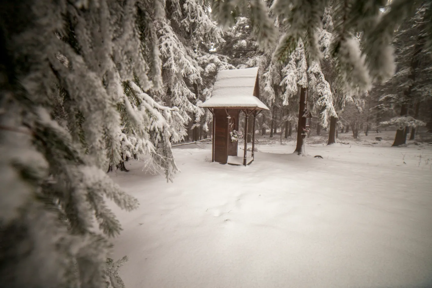 Študlovskými pasekami na vrchol Končitá