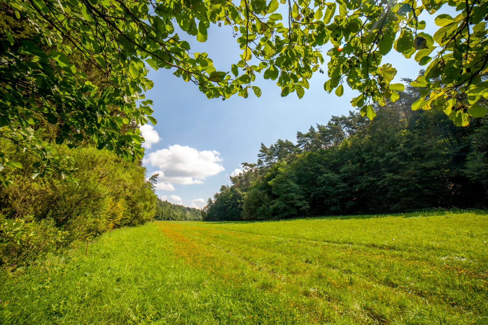 Za přírodní památkou Smolinka